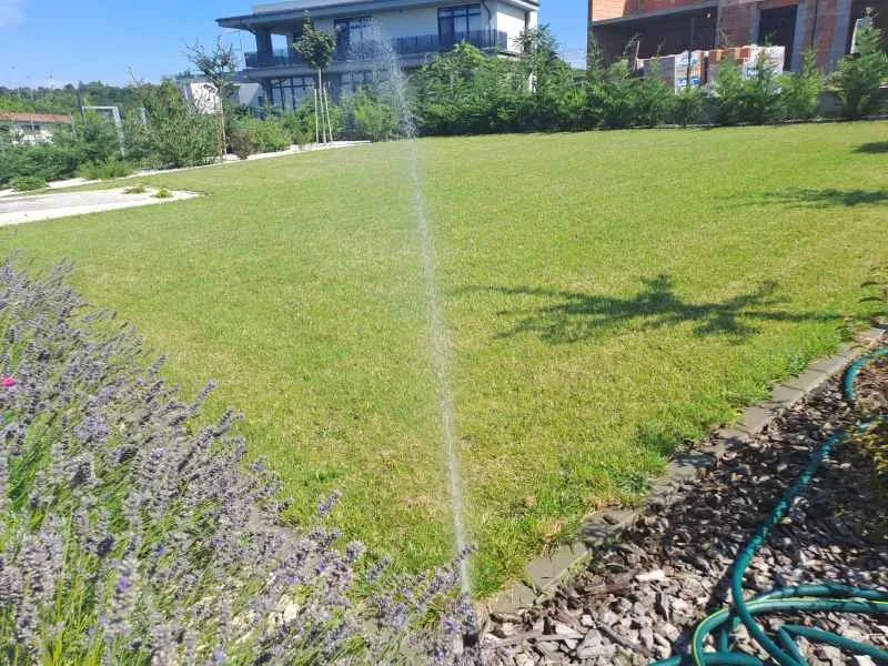 Elkészült kert részlete – növények és gyep